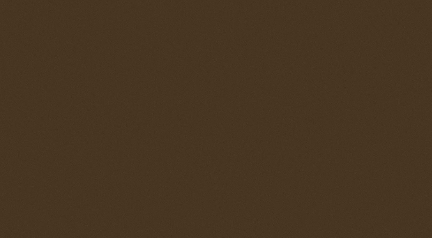 Tubadzin BROWN Brown R.1 59,3×32,7