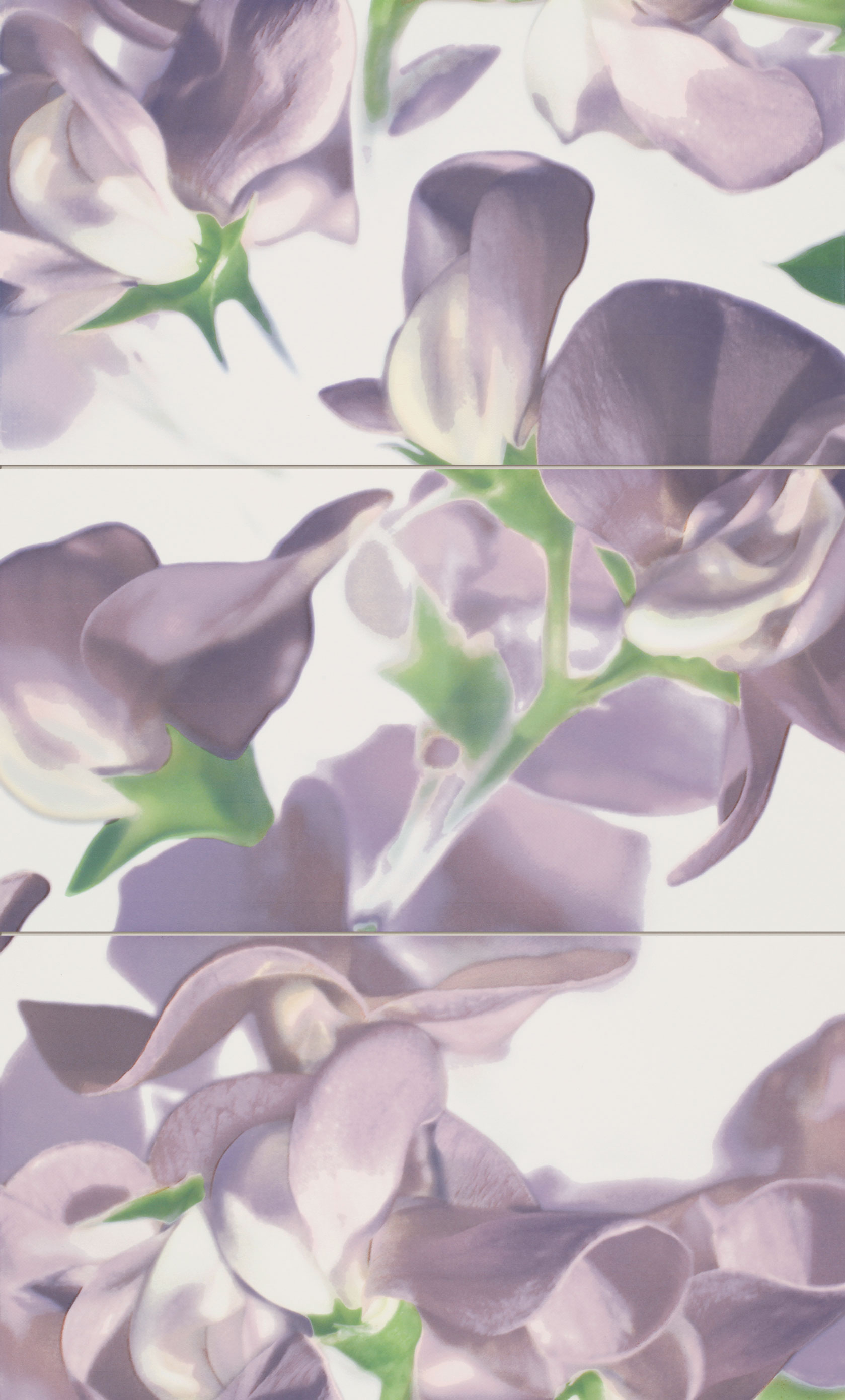 Tubadzin VIOLET Bloom Violet 59,3×98,5